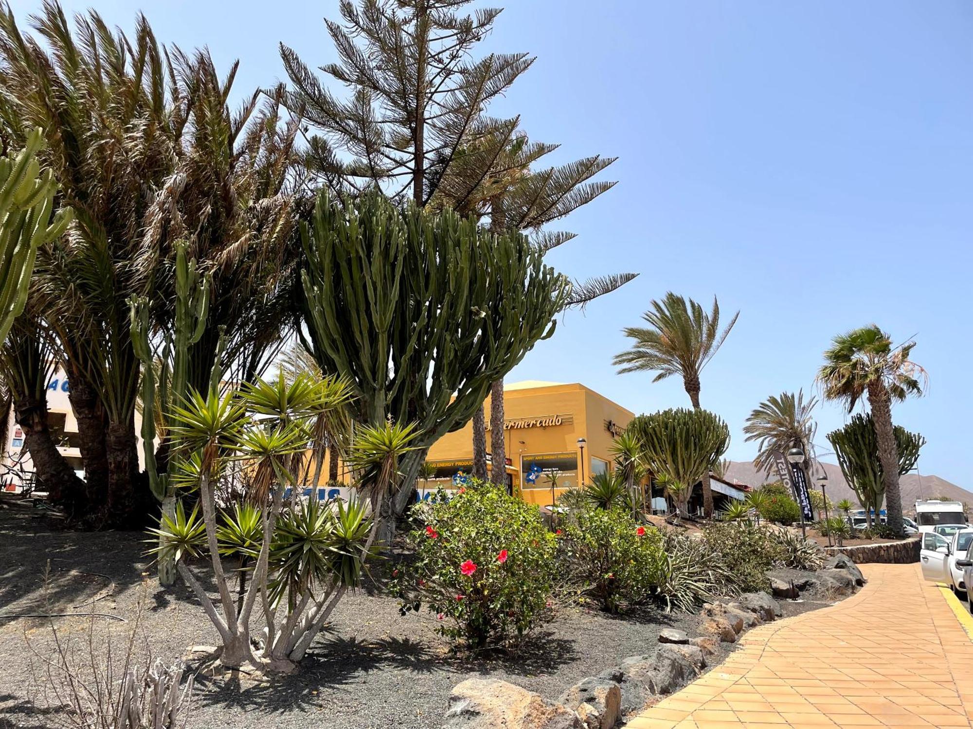 Appartement Casa Relax Papagayo Corralejo Irent Fuerteventura Extérieur photo